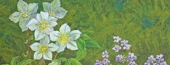 日本画